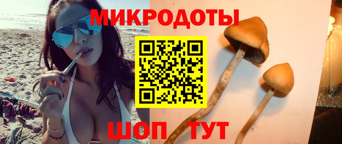 Галлюциногенные грибы Psilocybine cubensis  Псилоцибиновые грибы ЛСД  Вход с VPN  Белорецк 