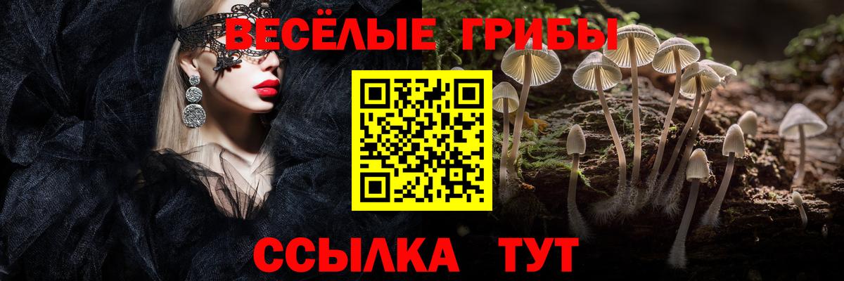 Псилоцибиновые грибы ЛСД Белорецк